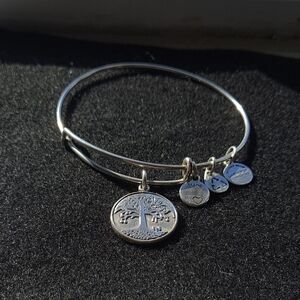 Alex and Ani Silver Tree of Life Bangle Bracelet
